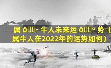 属 🌷 牛人未来运 🐺 势（属牛人在2022年的运势如何）